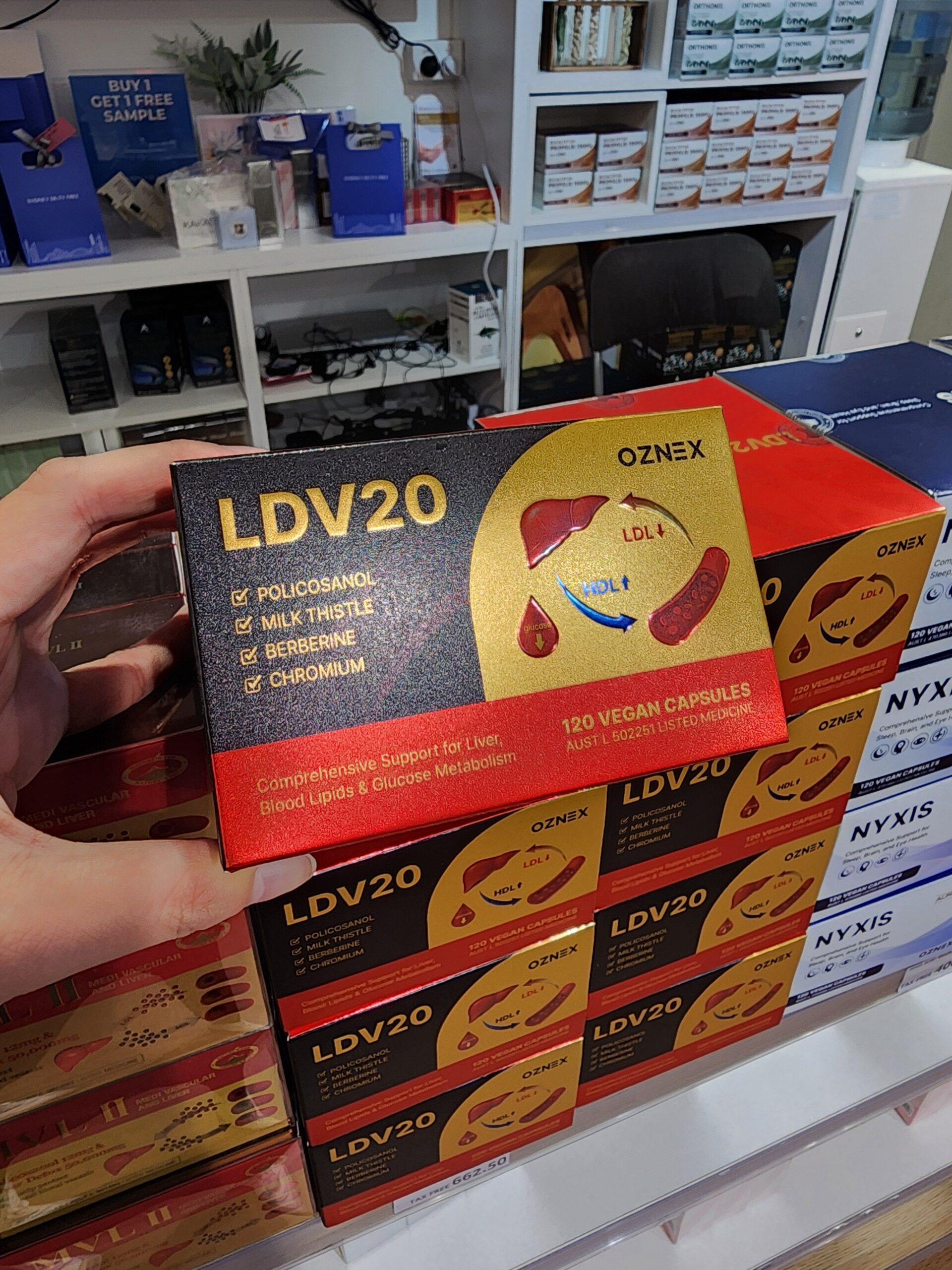 LDV20 부모님 선물